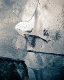 Ablation14