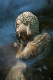 Still_Points_08