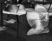 Still_Waters__16