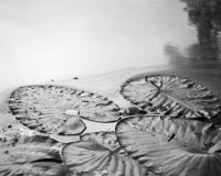 Still_Waters__17