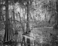 Still_Waters__01