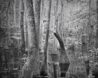 Still_Waters__03