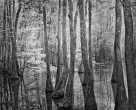 Still_Waters__04