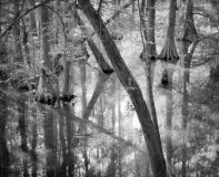 Still_Waters__05