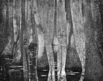 Still_Waters__06