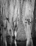 Still_Waters__07