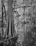 Still_Waters__08