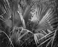 Still_Waters__10