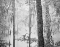 Still_Waters__12