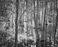 Still_Waters__13