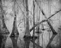 Still_Waters__15